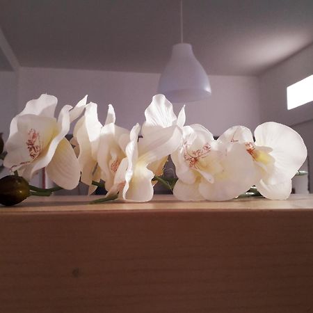 Sadinahome Σετούμπαλ Εξωτερικό φωτογραφία